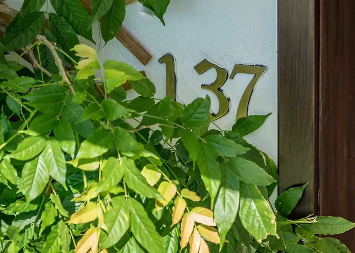 بيت للعطل Ausseer باد اوسي