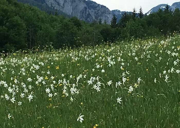 بيت للعطل Ausseer *